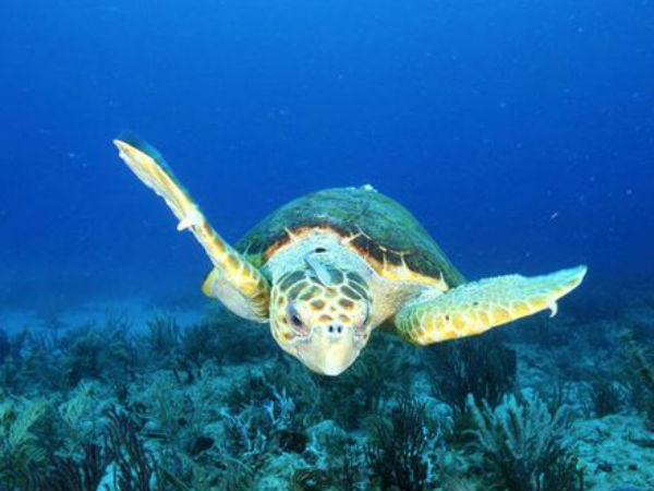 எச்சரிக்கை: