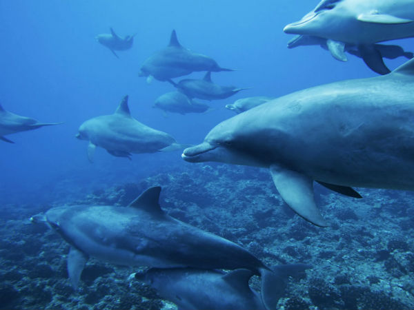 சேதம் ஏற்படலாம்: