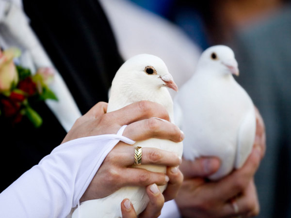 ஒவ்வொரு நாளும் கொண்டாட்டம்