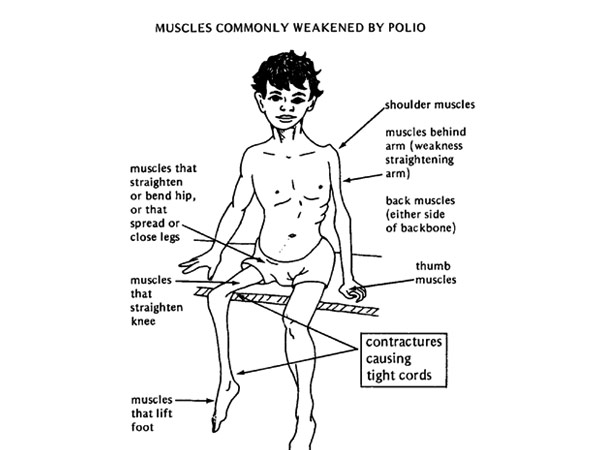 திறமையான வைராலஜிஸ்ட்