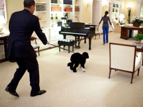 ரைசின் விஷம்...