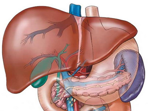 வெயிட்டிங் பார் கல்லீரல்...