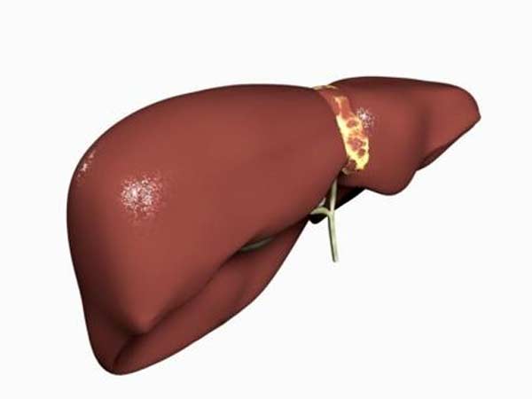 வரப்பிரசாதம்...