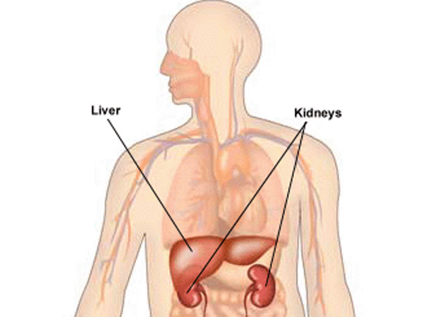 லண்டன்ல தான் பெரிசு...