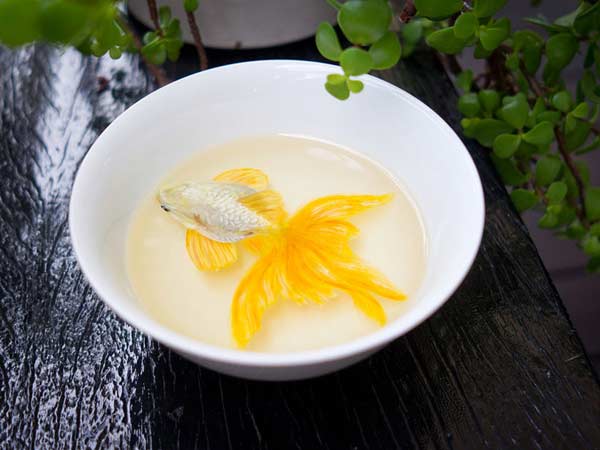 மீனா... உன் கண்ணுக்குள்ளே மின்னலென்ன