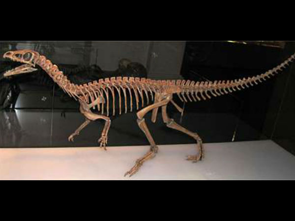 பண்டிட் குயின்...