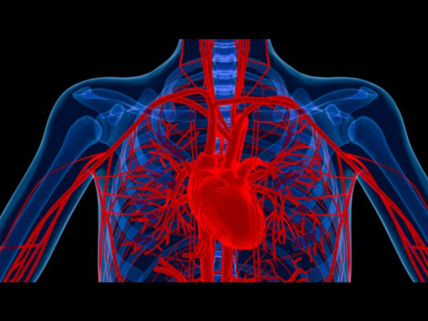 ரத்த நாளங்கள் விரிவடையும் ரத்த நாளங்கள் விரிவடையும்