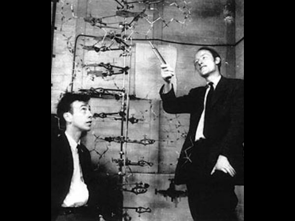 பிரான்சிஸ் கிரிக், ஜேம்ஸ் வாட்சன்: