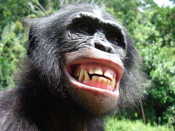 நாங்களும் சிரிப்போம்ல... !