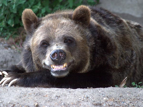 நாங்களும் சிரிப்போம்ல... !