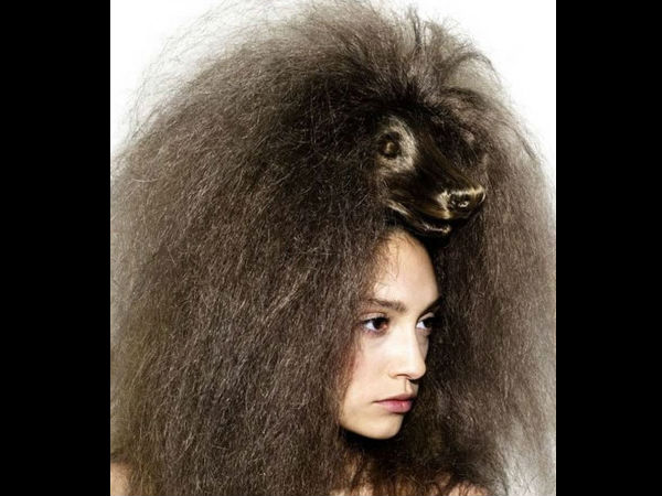 கரடி முடி...