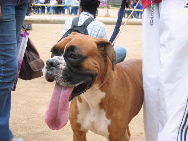 உடற்பயிற்சி இல்லை