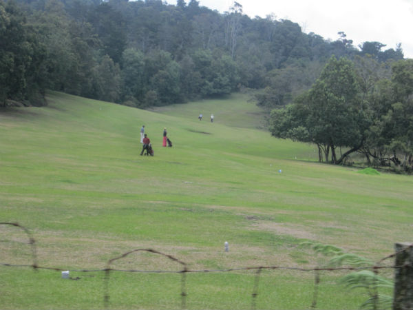 காட்டுக்குள் தம்மடிக்கும் கூட்டம்