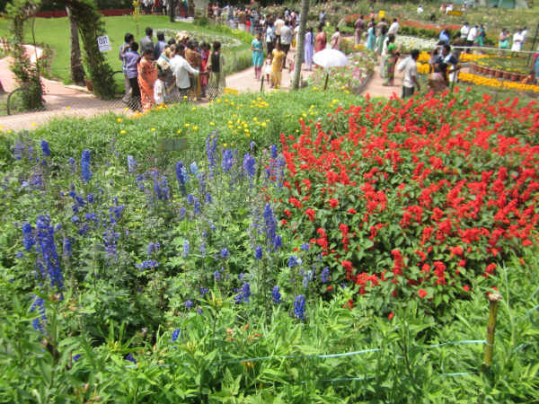 19ம் தேதி கோடை விழா