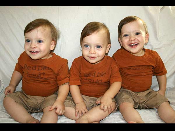 உறுப்பு மாற்றுக்கு உதவும்...