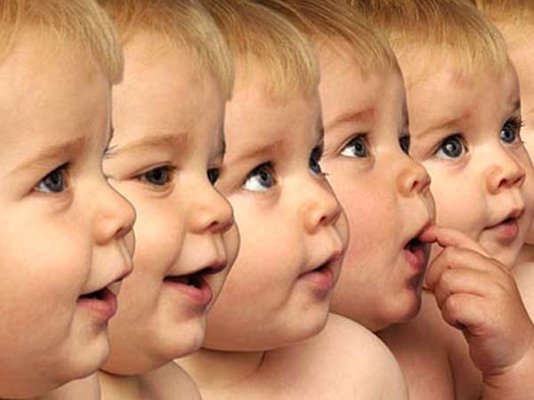 மனித ஜெராக்ஸ் உறுதி...