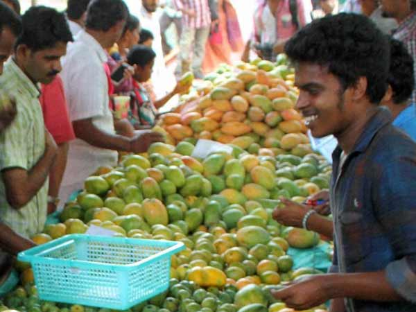 மாம்பழக் கண்காட்சி...