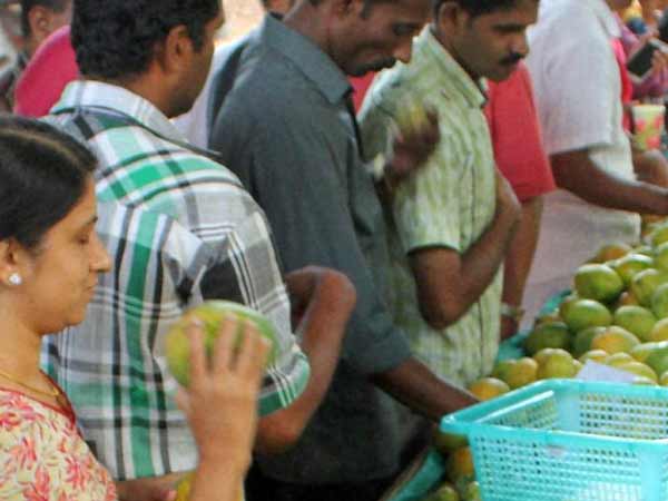 ஒரே கல்லுல ரெண்டு மாம்பழம்...