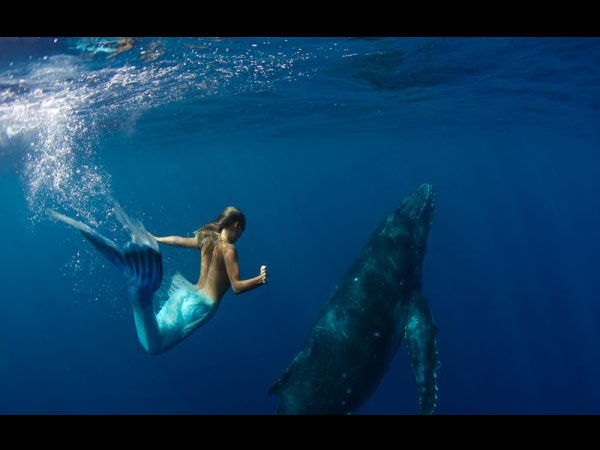 திமிங்கலங்களுடன்