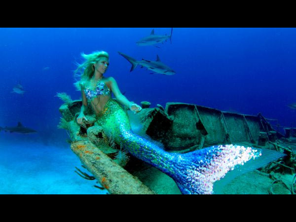 ஸ்விமிங் போட்டு சுறாவை மிரட்டியவர்