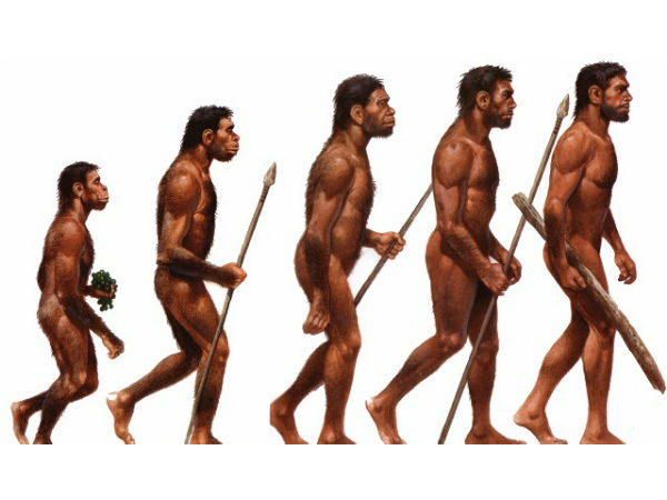 சீக்கிரமே அழிந்த நியான்டர்தால் மனிதர்கள்