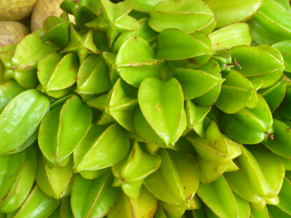 மூன்று மாதங்களுக்கு சீசன் உறுதி மூன்று மாதங்களுக்கு சீசன் உறுதி