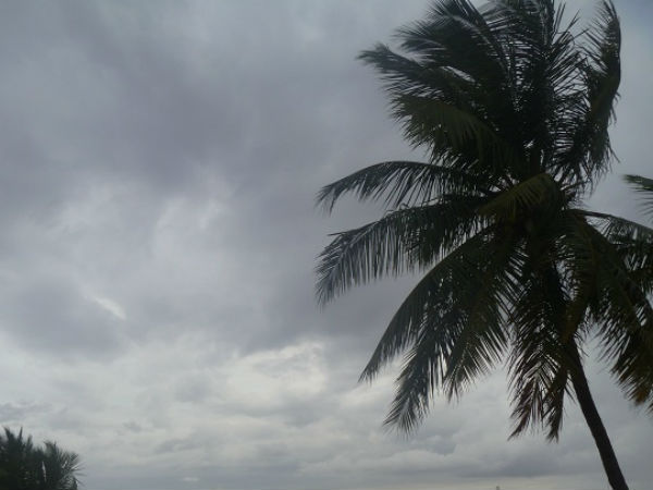 பருவ மழை துவங்கியது...