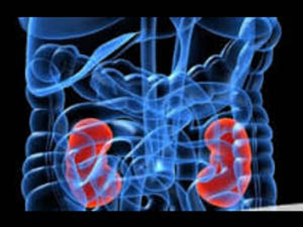 12 நகரங்களில் ஆய்வு