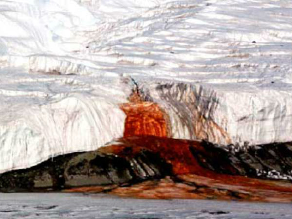 ரத்த நீரூற்று...