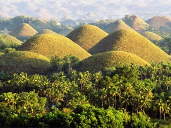 மல... மல.. சாக்லெட் மல