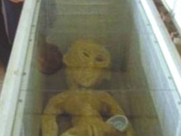 என்கிட்ட புரூப் இருக்கு...