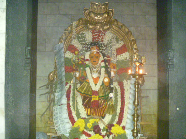 அலங்கார ரூபினி