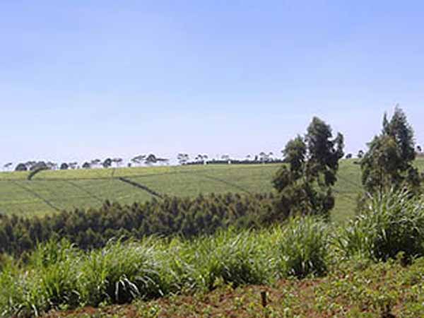 சொத்து பறிமுதல்...