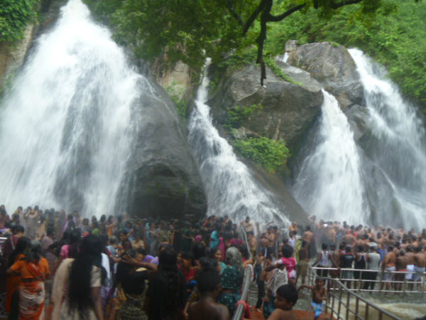 குற்றாலத்தில் அமோக வருவாய்