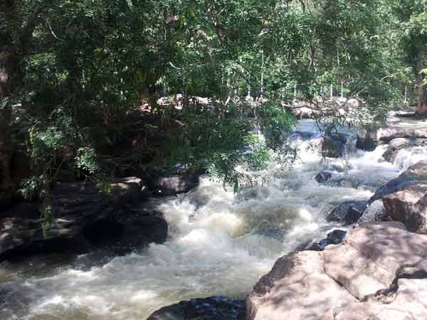 12 மாவட்டங்களில் 47 இடங்களுக்குக் குறி