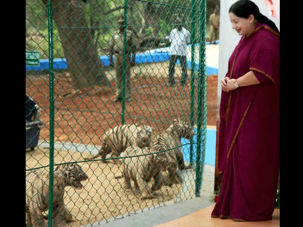 ஜெயலலிதா வேண்டுகோள்...