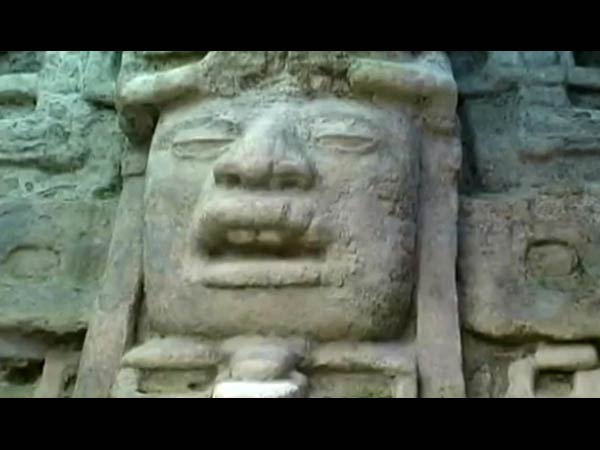 கைவிடப்பட்ட நிலையில் கிடந்தவை..