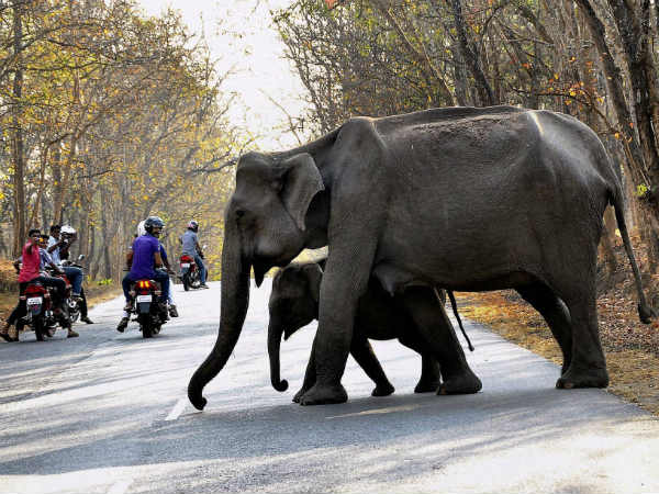 போட்டோவா எடுக்கற...