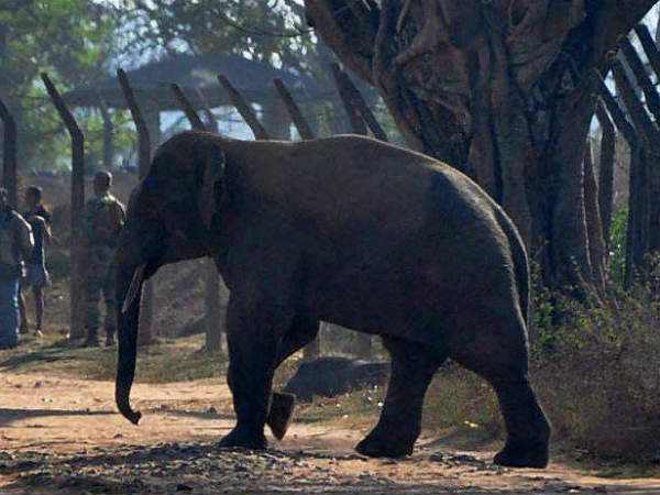 பெங்களூருக்கும் ஆபத்து...