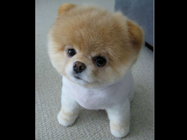 ஏய்... நீ ரொம்ப அழகா இருக்க... ஏய்... நீ ரொம்ப அழகா இருக்க...