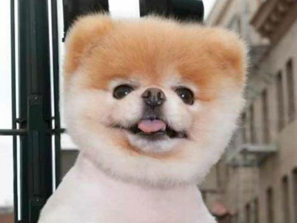 விளம்பர மாடல்... விளம்பர மாடல்...