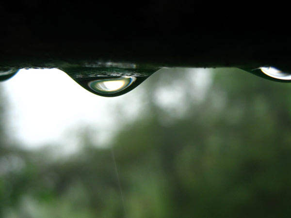 எப்படி ஆண்டு முழுவதும் மழை கிடைக்கிறது?