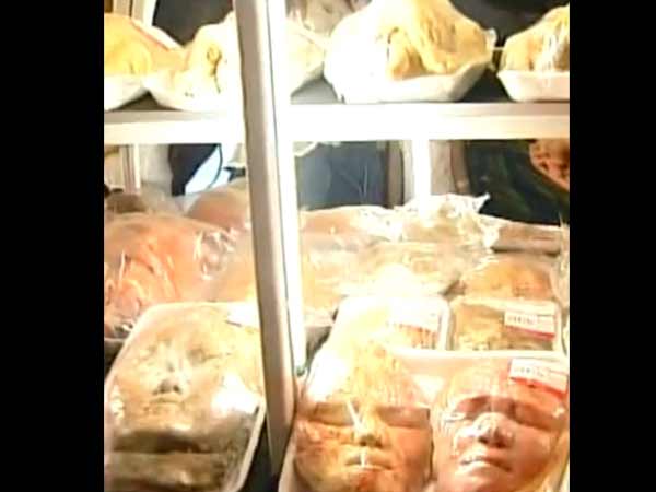 வினோத பன்கள்... வினோத பன்கள்...