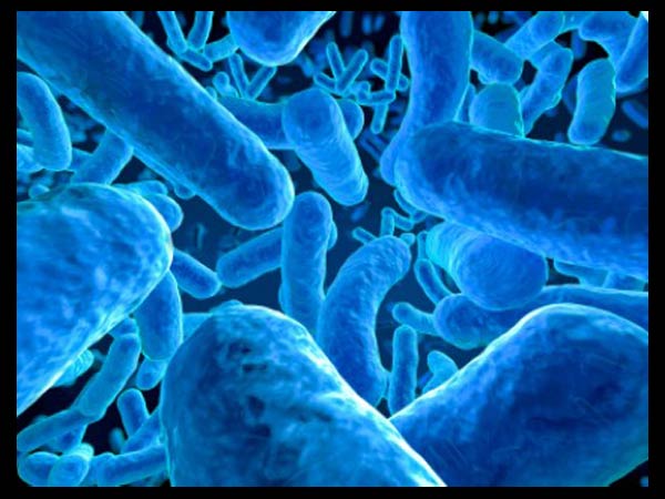 மனித இனம் வேறு கிரகங்களில் தஞ்சம் புக வாய்ப்பு...