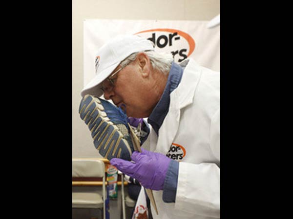 அமெரிக்க தேசியப் போட்டி...