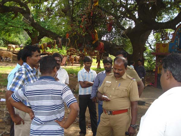 கால்நடைகளுக்கு தனிப்பிரிவு...