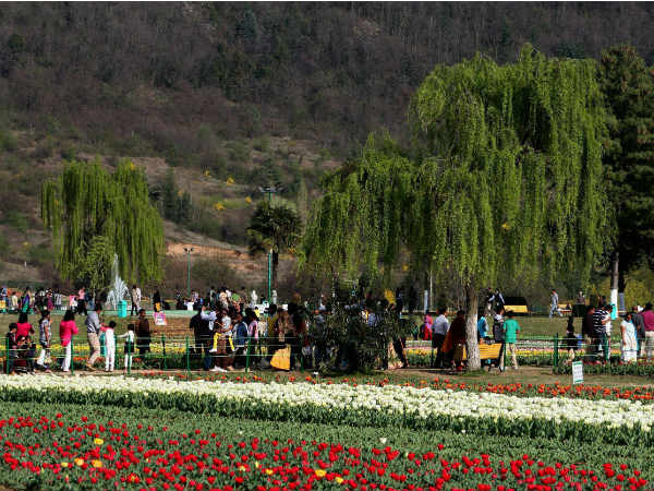 சுற்றுலாத்துறையினரின் மகிழ்ச்சிக்குக் காரணம்: