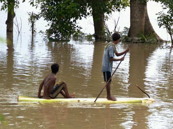 விளை நிலங்கள் நாசம்