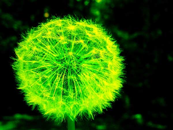 மூன்று நண்பர்களின் முயற்சி...