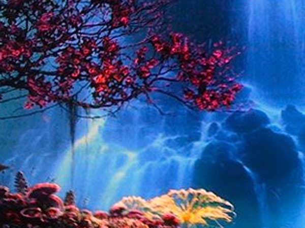 1980 கான்செப்ட்...